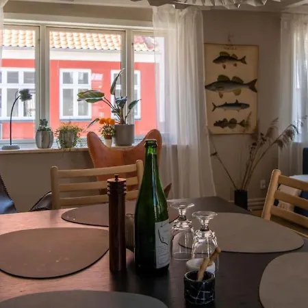 Tatil Evi Nyrenoveret Charmerende Byhus